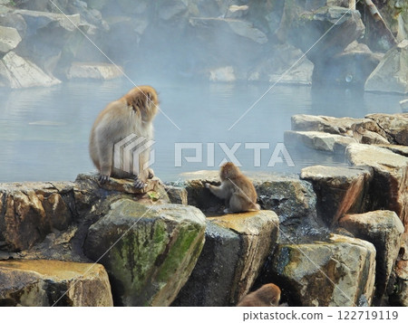 A mother and her child monkey pondering whether to take a bath in the hot spring. A mother and her child monkey pondering whether to take a bath in the hot spring. 122719119