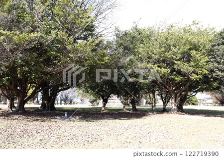 尾中遺址（兵庫縣播磨町） 122719390