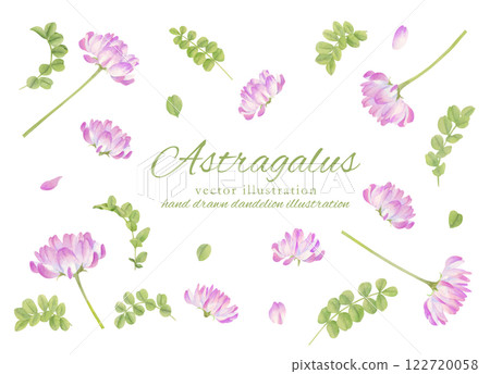 一組中國莎草水彩畫 一組中國莎草水彩畫 122720058