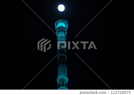 Sky tree  122720075