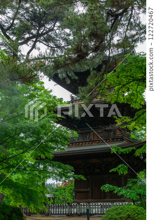 Gotokuji Temple: Beautiful fresh greenery in the rain Gotokuji Temple: Beautiful fresh greenery in the rain 122720467