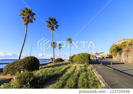 Early spring at Kitashimoura Daffodil Road Early spring at Kitashimoura Daffodil Road 122720546