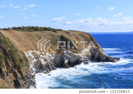 Early Spring in Jogashima 122720615