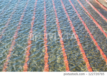Koshigoe Fishing Port (Kashigoe, Kamakura City, Kanagawa Prefecture) Koshigoe Fishing Port (Kashigoe, Kamakura City, Kanagawa Prefecture) 122720785