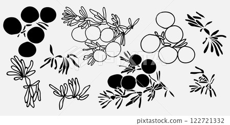 Stylized black and white botanical illustrations that prominently feature circular shapes alongside unique leaves 122721332