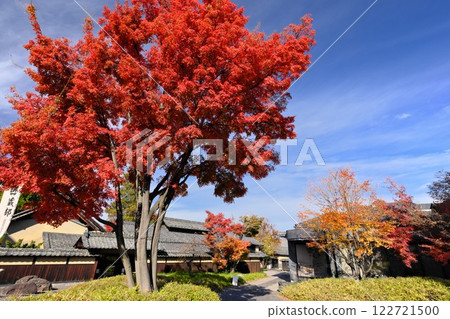 Shinshu in autumn: Vivid autumn leaves and the atmosphere of Obuse's townscape stand out against the blue sky 122721500