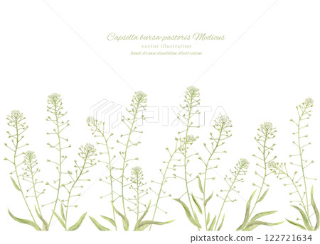 蒲公英的天然水彩插圖 122721634