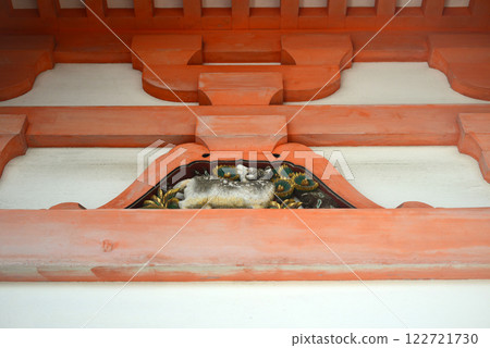 小豆島土莊町西光寺紫苑門 - 11 小豆島土莊町西光寺紫苑門 - 11 122721730