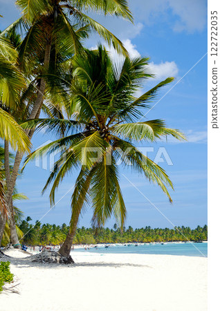 Caribbean beach with palm and white sand 122722035