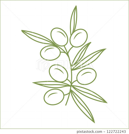 Olive branch with fruits in doodle style. Vector illustration isolated on white background. Olive branch with fruits in doodle style. Vector illustration isolated on white background. 122722243