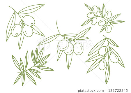 Set of olive branches with fruits in doodle style. Vector illustration isolated on white background. Set of olive branches with fruits in doodle style. Vector illustration isolated on white background. 122722245