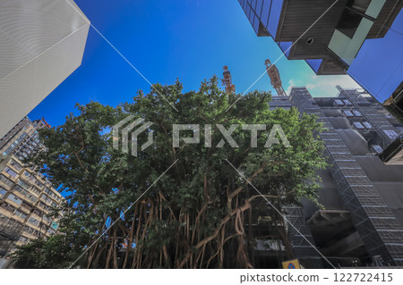 Jan 29 2025 Street at Sunning Road Vibrant Hong Kong Cityscape 122722415