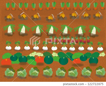 Winter vegetables and fields Winter vegetables and fields 122722875