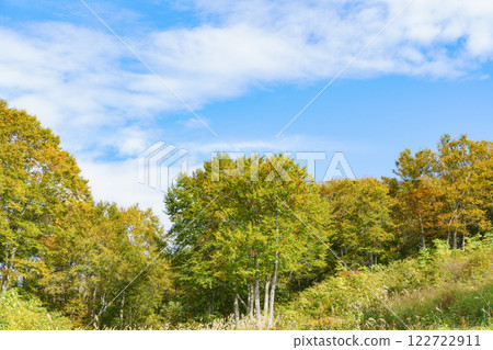 Hakkaisan - Colorful trees 122722911