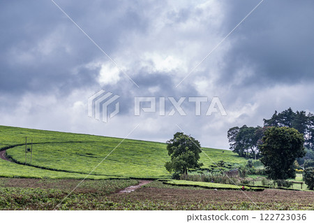 Kenya Photographers By Antony Trivet Photography 122723036
