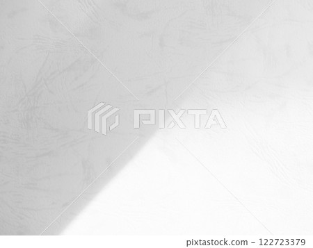 Shadow Background wall Light white Abstract Backdrop Sunlight Sun Mockup Overlay Minimal Summer Gray Photography Black Modern Art Architecture Surface Bright Shape Leaves Branch Nature Smoot Desight. Shadow Background wall Light white Abstract Backdrop Sunlight Sun Mockup Overlay Minimal Summer Gray Photography Black Modern Art Architecture Surface Bright Shape Leaves Branch Nature Smoot Desight. 122723379