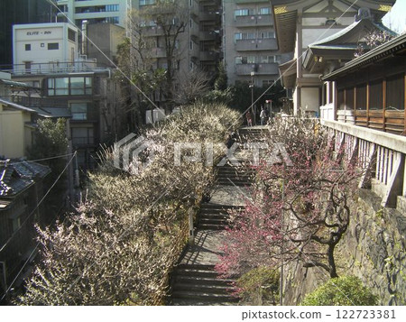 天滿宮的梅花階梯 天滿宮的梅花階梯 122723381
