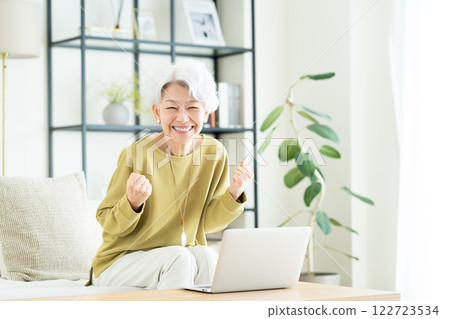 Senior woman using a computer in the living room Senior woman using a computer in the living room 122723534
