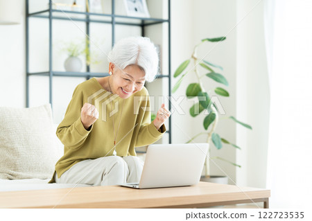 Senior woman using a computer in the living room 122723535