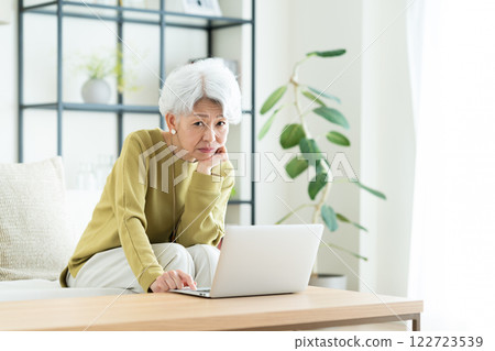 Senior woman using a computer in the living room Senior woman using a computer in the living room 122723539
