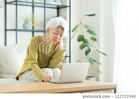 Senior woman using a computer in the living room 122723540