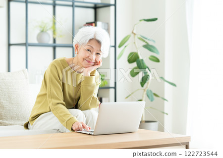 Senior woman using a computer in the living room 122723544