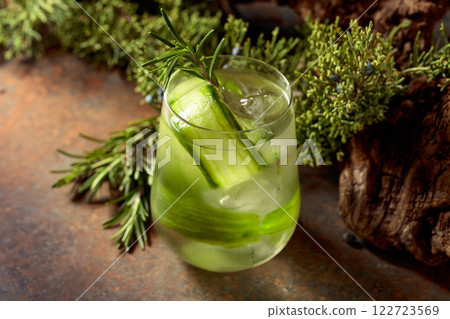 Cocktail gin and tonic with ice, cucumber, and rosemary. 122723569