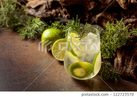 Cocktail: gin and tonic with ice, lime, and rosemary on a rustic background. Cocktail: gin and tonic with ice, lime, and rosemary on a rustic background. 122723570