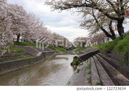 Senbonzakura, Yamatotakada City, Nara Prefecture 122723634