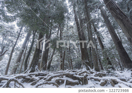 鞍馬寺：通往寺廟的內殿道路，由被雪覆蓋的樹根鋪成 122723986