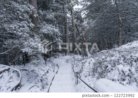 鞍馬寺：通往寺廟的內殿道路，由被雪覆蓋的樹根鋪成 122723992