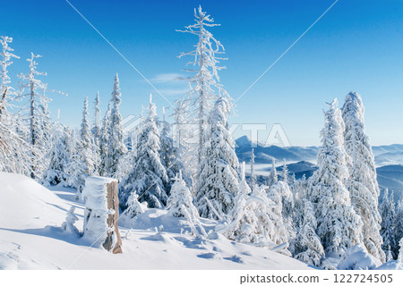 Fantastic winter landscape. Magic sunset in the mountains a frosty day. On the eve of the holiday. The dramatic scene. Carpathian, Ukraine, Europe. Fantastic winter landscape. Magic sunset in the mountains a frosty day. On the eve of the holiday. The dramatic scene. Carpathian, Ukraine, Europe. 122724505