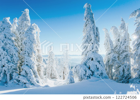 Fantastic winter landscape. Magic sunset in the mountains a frosty day. On the eve of the holiday. The dramatic scene. Carpathian, Ukraine, Europe. Fantastic winter landscape. Magic sunset in the mountains a frosty day. On the eve of the holiday. The dramatic scene. Carpathian, Ukraine, Europe. 122724506