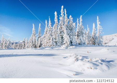 Fantastic winter landscape. Magic sunset in the mountains a frosty day. On the eve of the holiday. The dramatic scene. Carpathian, Ukraine, Europe. Fantastic winter landscape. Magic sunset in the mountains a frosty day. On the eve of the holiday. The dramatic scene. Carpathian, Ukraine, Europe. 122724512
