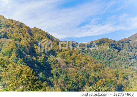 從湯澤高原(新潟縣)看到的風景 從湯澤高原(新潟縣)看到的風景 122724602