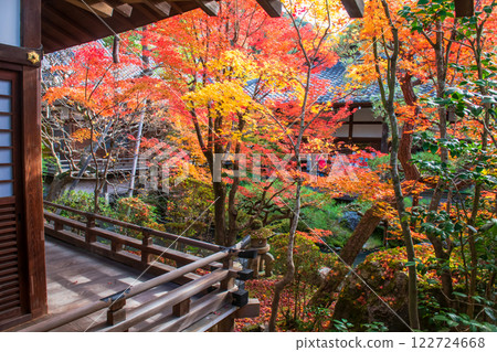 Eikando temple architect by coloful foliage garden in autumn, Kyoto Eikando temple architect by coloful foliage garden in autumn, Kyoto 122724668
