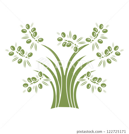 Olive tree in doodle style. Vector illustration isolated on white background. 122725171