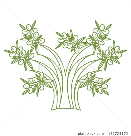 Olive tree in doodle style. Vector illustration isolated on white background. 122725173