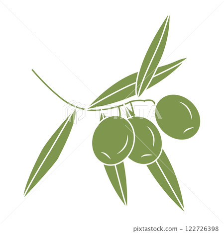 Olives on a branch in doodle style. Vector illustration isolated on white background. 122726398