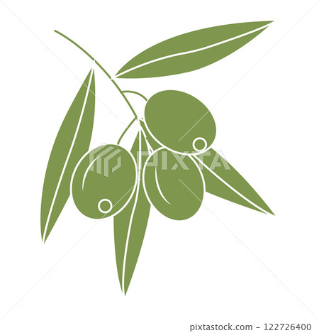 Olives on a branch in doodle style. Vector illustration isolated on white background. 122726400