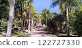 Tranquil path lined with palm trees in , Malaga, Spain 122727330