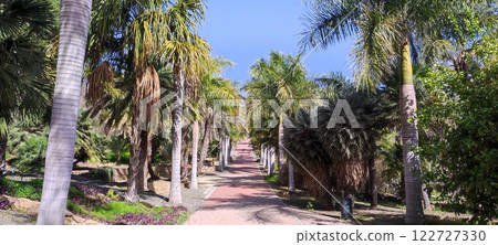 Tranquil path lined with palm trees in , Malaga, Spain Tranquil path lined with palm trees in , Malaga, Spain 122727330