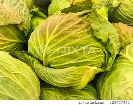 Fresh cabbage with the outer leaves still attached Fresh cabbage with the outer leaves still attached 122727471