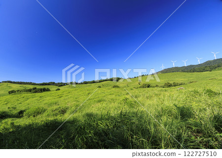 靜岡縣稻取細野高原的初夏 靜岡縣稻取細野高原的初夏 122727510