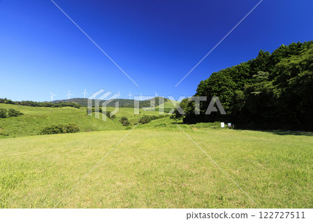 Early summer in Inatori Hosono Plateau, Shizuoka Prefecture 122727511