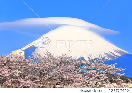 [靜岡縣]富士山，雲霧and繞，櫻花盛開 122727650