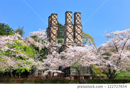 [Shizuoka Prefecture] Nirayama Reverberatory Furnace on a clear day and cherry blossoms in full bloom 122727654