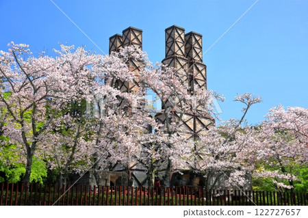 [Shizuoka Prefecture] Nirayama Reverberatory Furnace on a clear day and cherry blossoms in full bloom 122727657