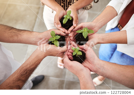 Hands, plant and sustainability in a group of people together in a circle or huddle. Community collaboration for growth, trust and eco friendly agriculture with soil, dirt and hope and green plants 122728004