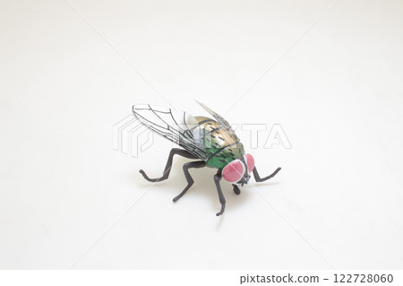 Close-Up of a Realistic Housefly Model 122728060
